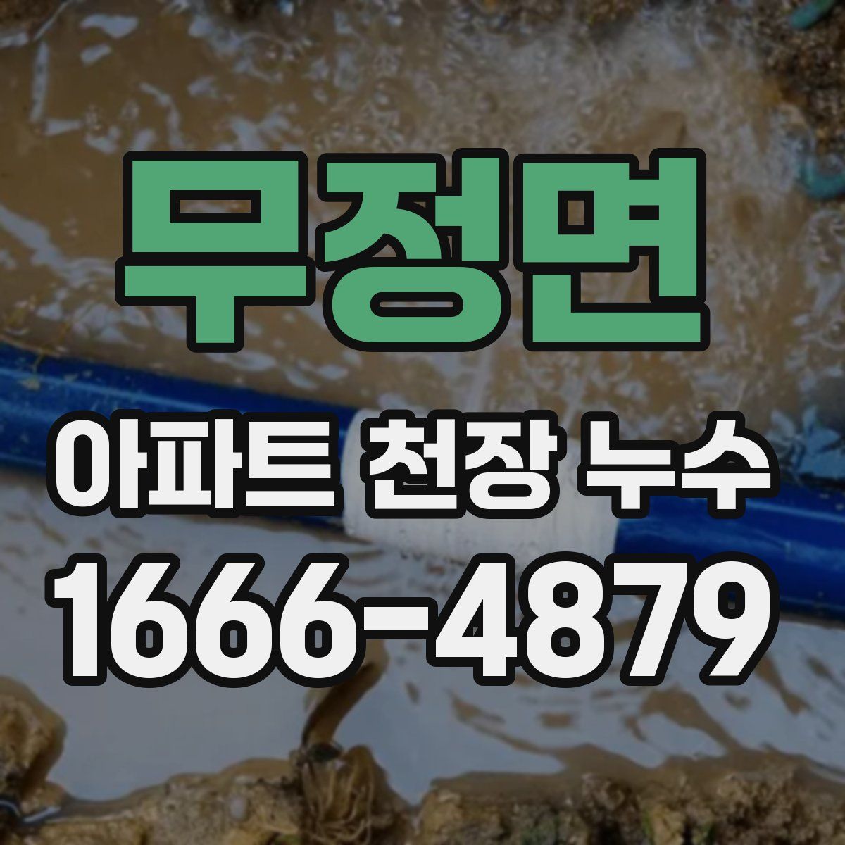 무정면 아파트 천장 누수