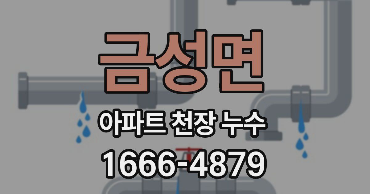 금성면 아파트 천장 누수