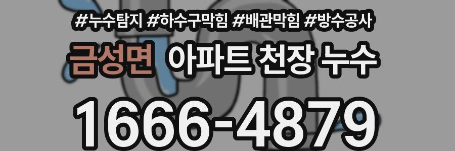 금성면 아파트 천장 누수
