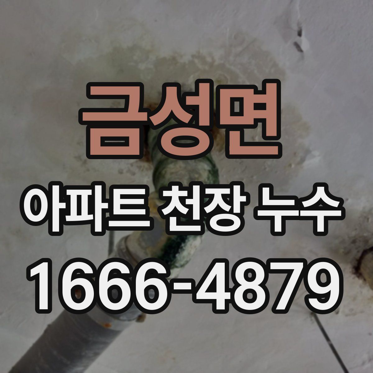 금성면 아파트 천장 누수