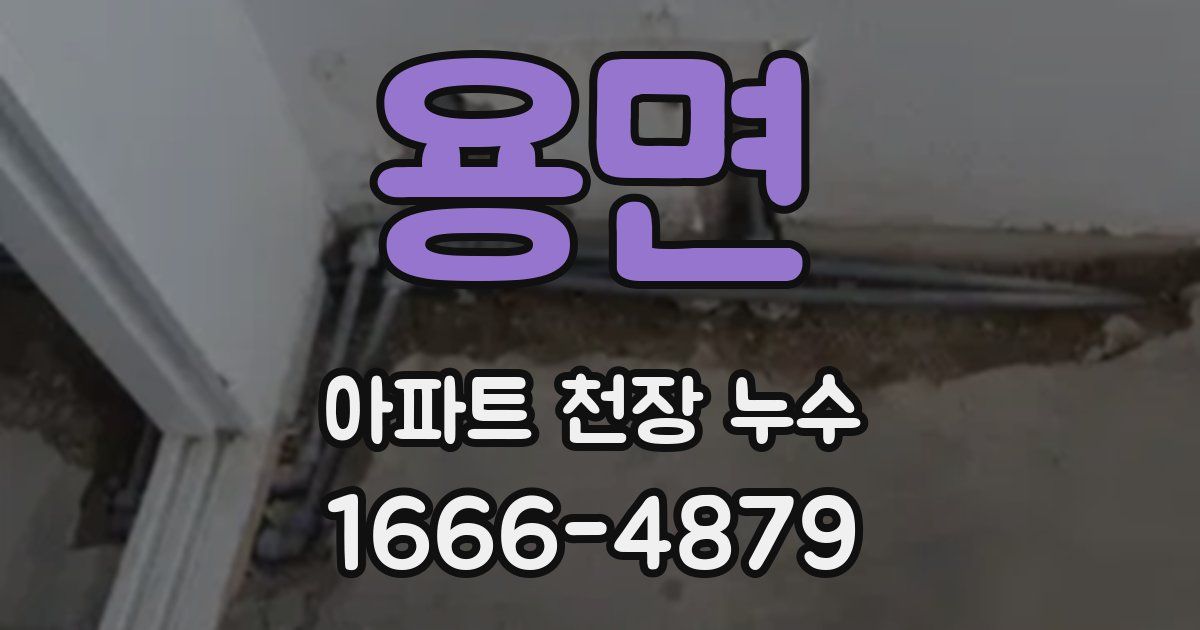 용면 아파트 천장 누수