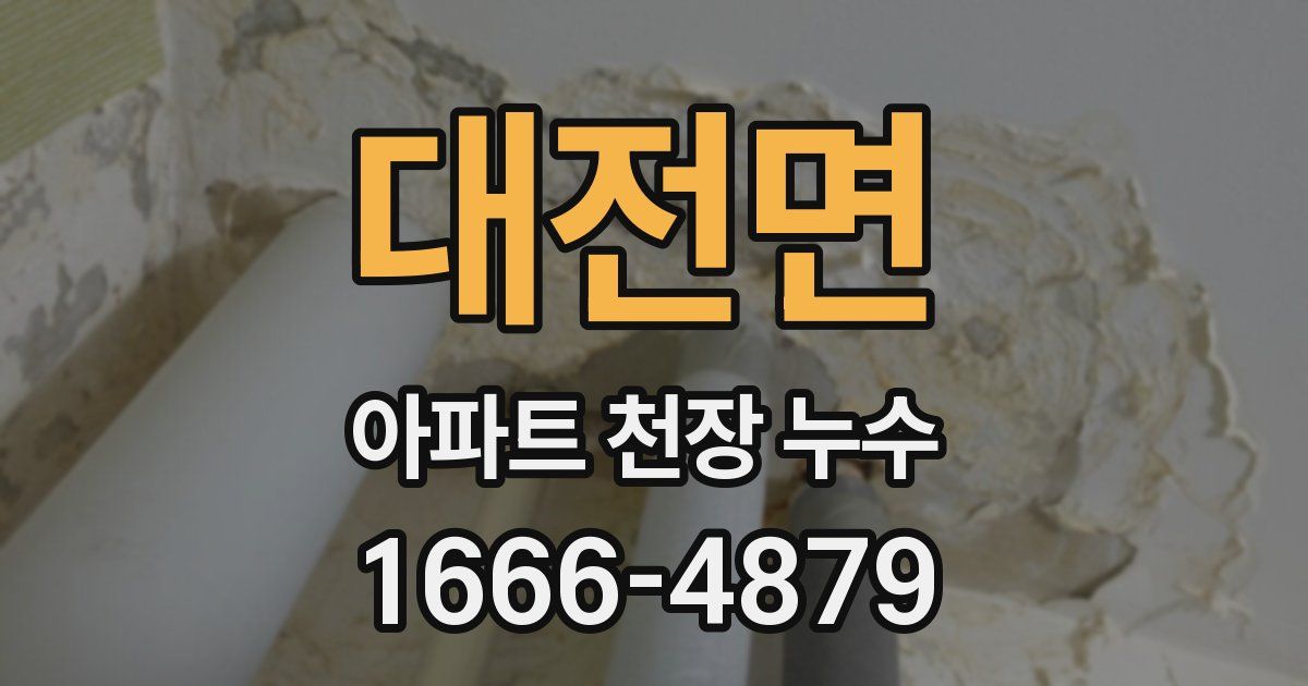 대전면 아파트 천장 누수