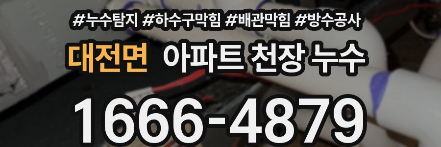 대전면 아파트 천장 누수