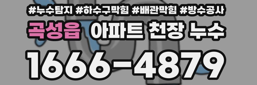 곡성읍 아파트 천장 누수