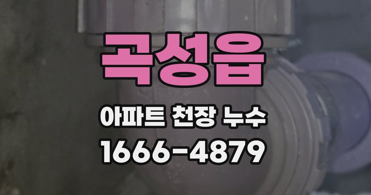 곡성읍 아파트 천장 누수