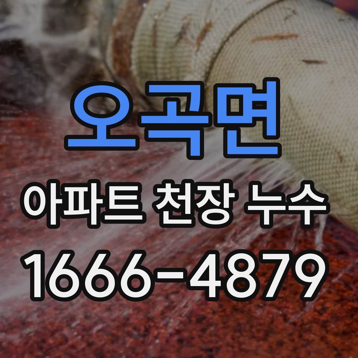 오곡면 아파트 천장 누수