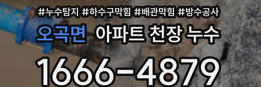 오곡면 아파트 천장 누수
