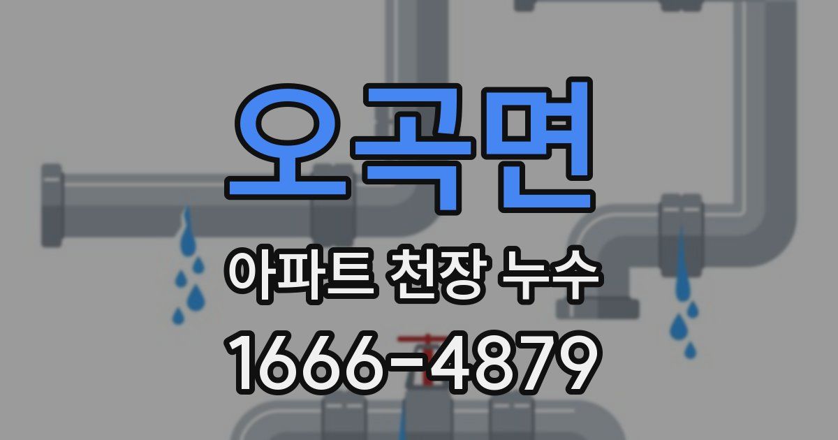 오곡면 아파트 천장 누수