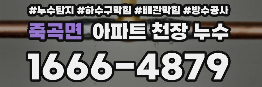 죽곡면 아파트 천장 누수