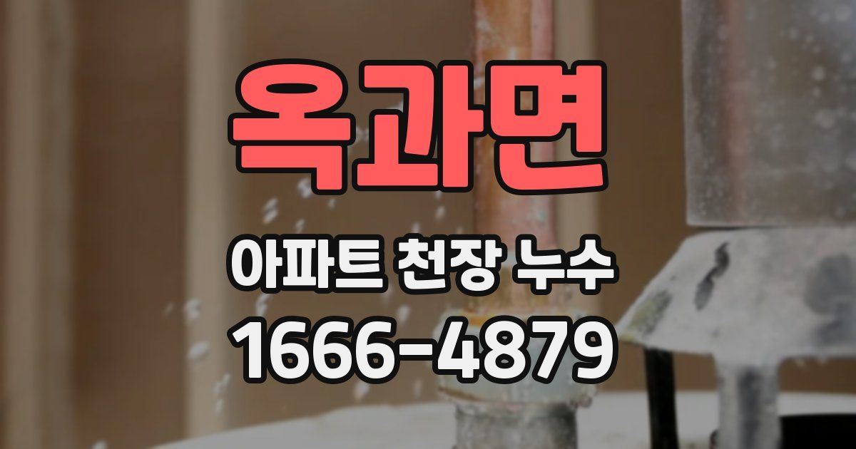 옥과면 아파트 천장 누수
