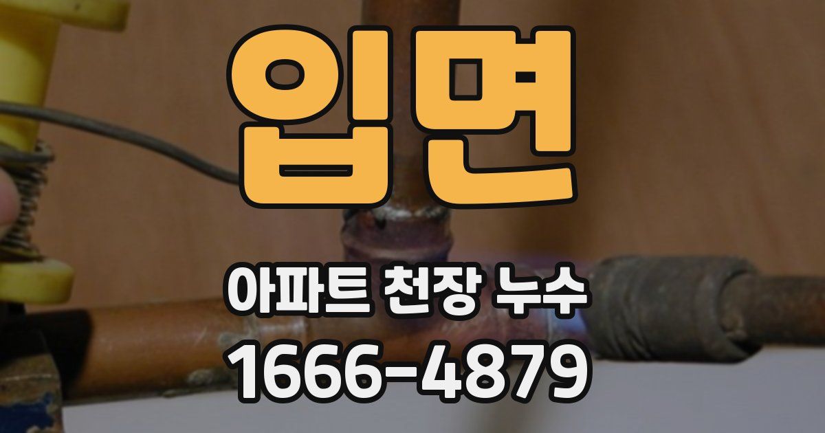 입면 아파트 천장 누수