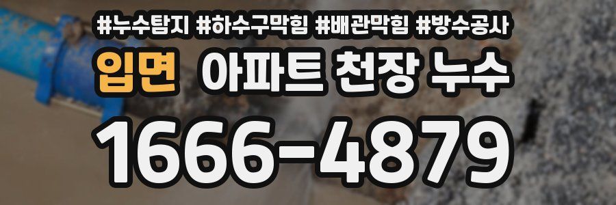 입면 아파트 천장 누수