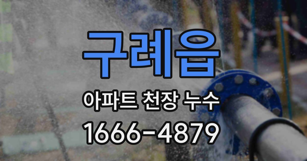 구례읍 아파트 천장 누수
