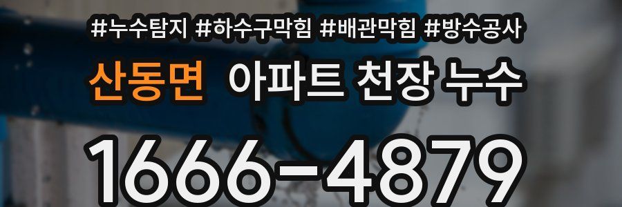 산동면 아파트 천장 누수