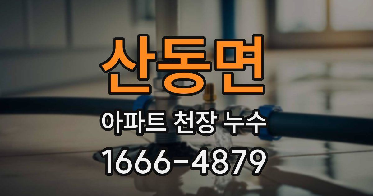 산동면 아파트 천장 누수