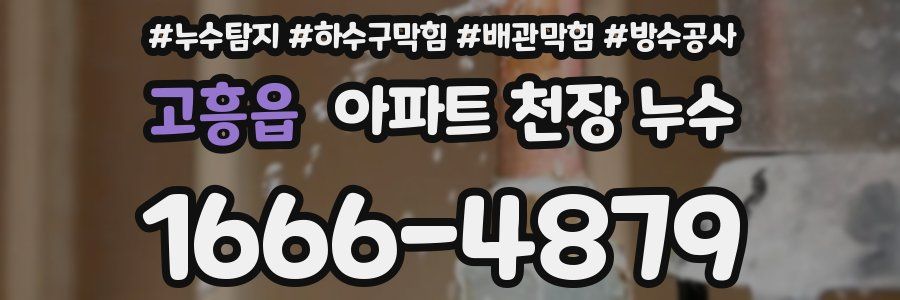 고흥읍 아파트 천장 누수