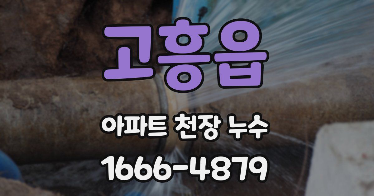 고흥읍 아파트 천장 누수