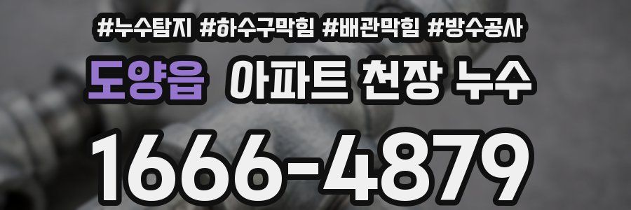 도양읍 아파트 천장 누수