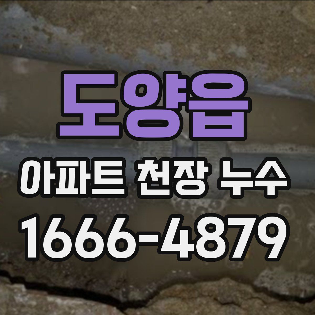 도양읍 아파트 천장 누수