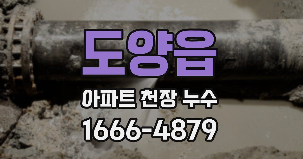도양읍 아파트 천장 누수