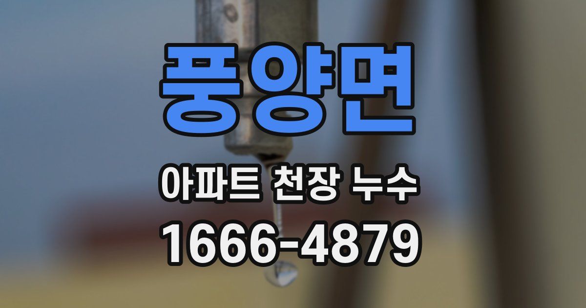 풍양면 아파트 천장 누수