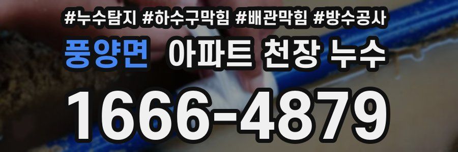 풍양면 아파트 천장 누수