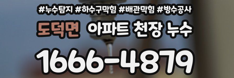 도덕면 아파트 천장 누수