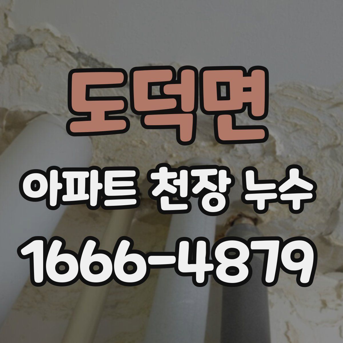 도덕면 아파트 천장 누수