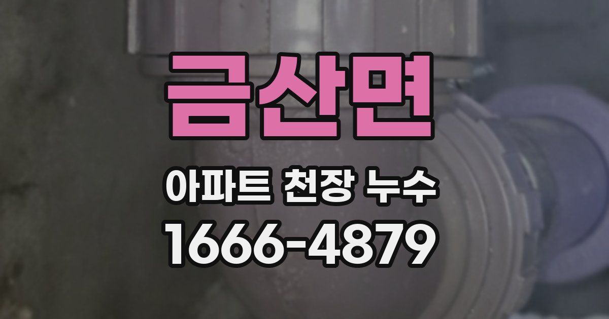 금산면 아파트 천장 누수