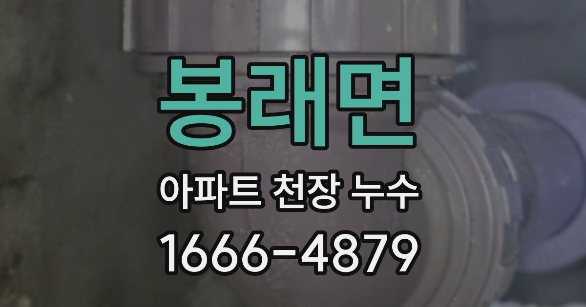 봉래면 아파트 천장 누수