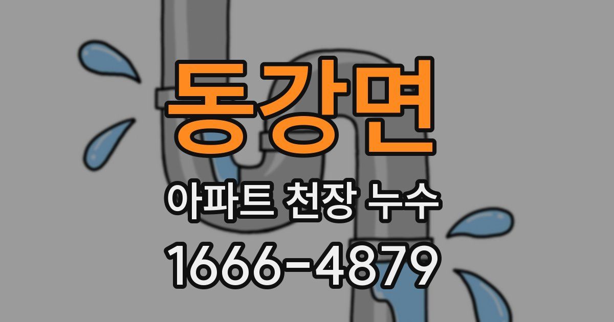 동강면 아파트 천장 누수