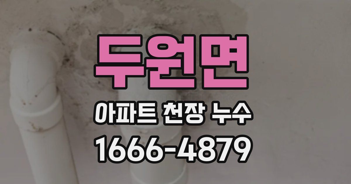 두원면 아파트 천장 누수