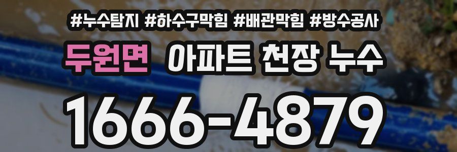 두원면 아파트 천장 누수