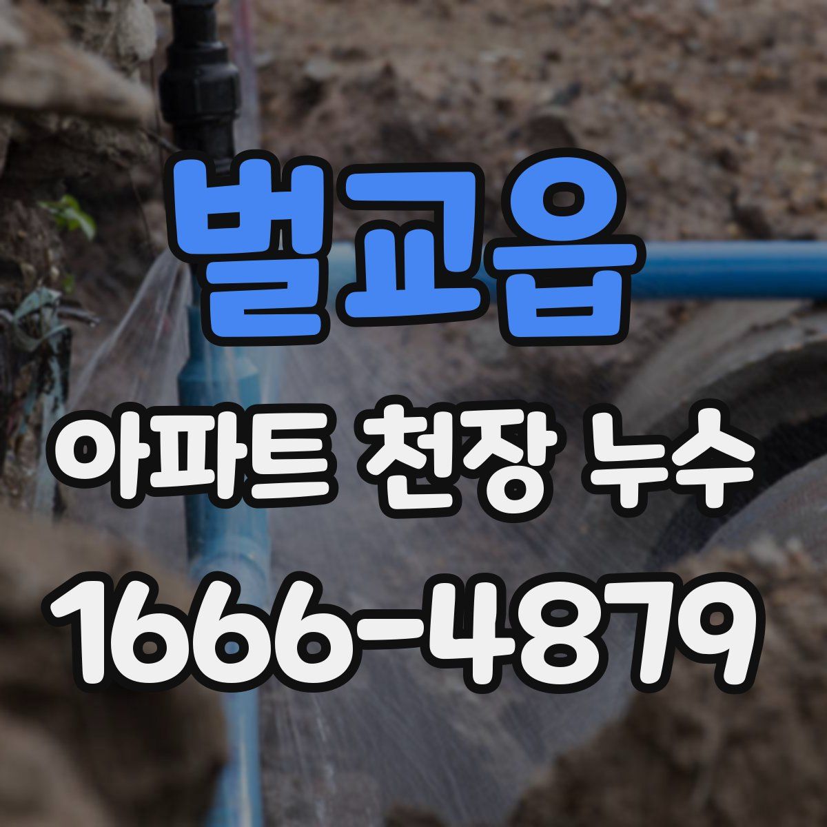 벌교읍 아파트 천장 누수