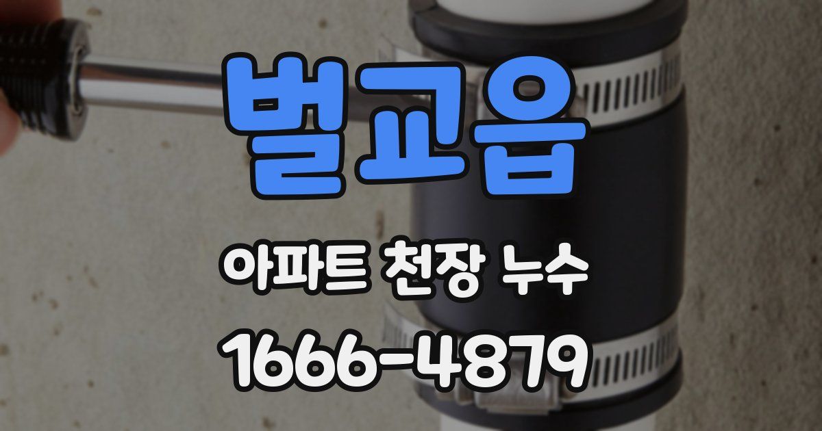벌교읍 아파트 천장 누수