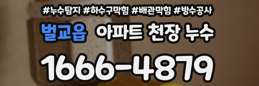 벌교읍 아파트 천장 누수
