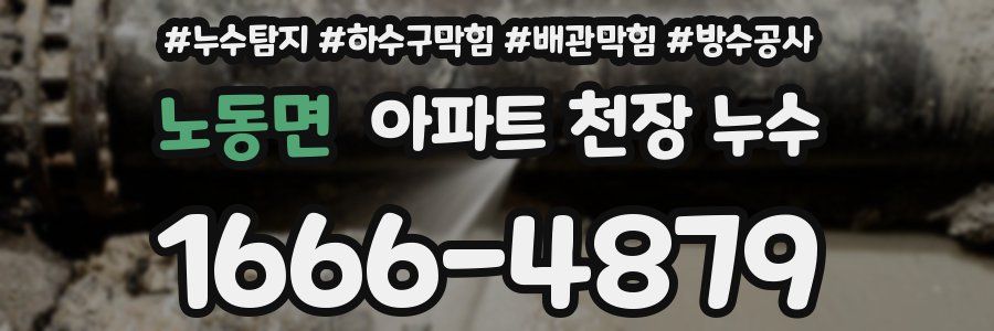 노동면 아파트 천장 누수