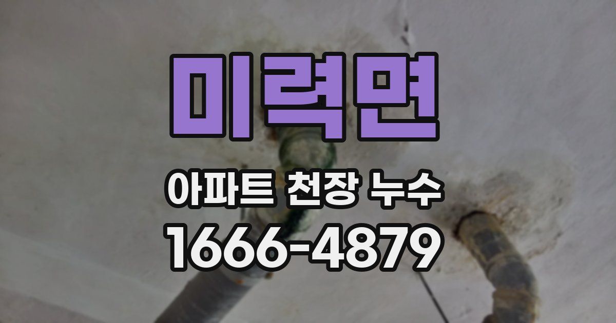 미력면 아파트 천장 누수