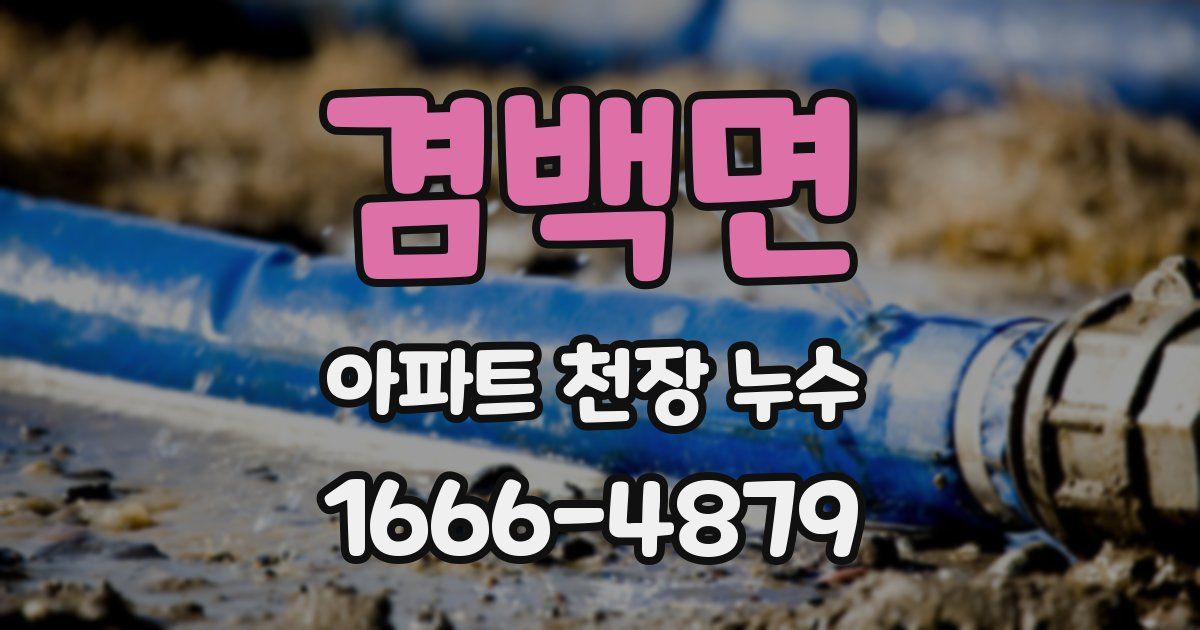 겸백면 아파트 천장 누수