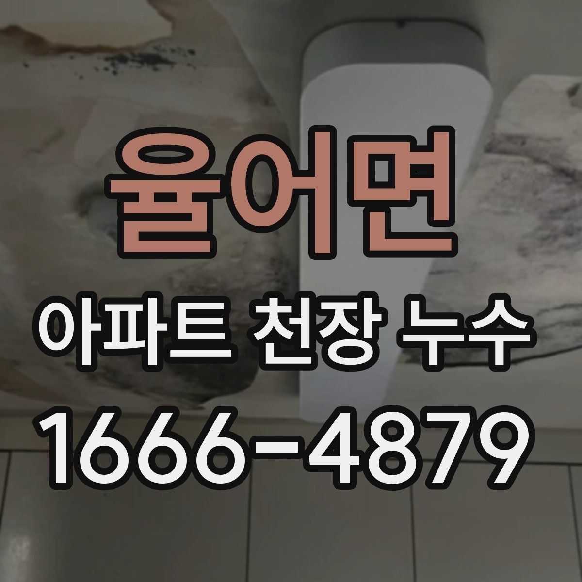 율어면 아파트 천장 누수