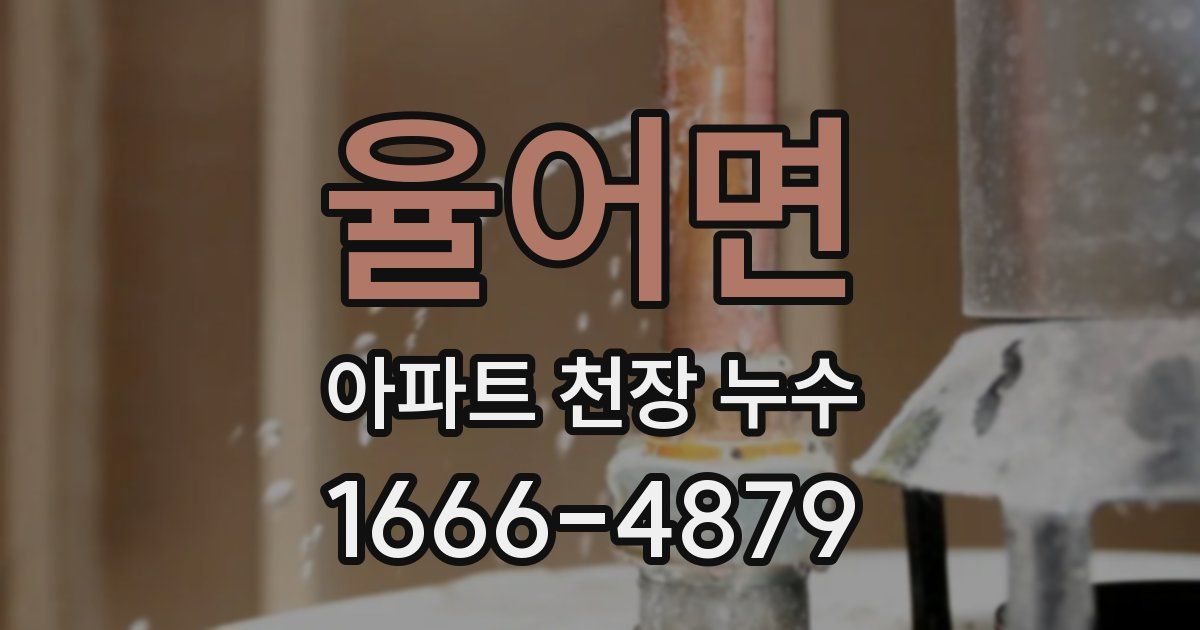 율어면 아파트 천장 누수