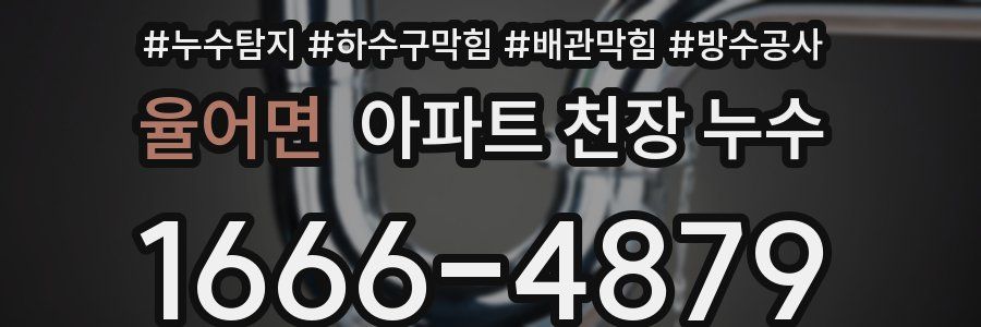 율어면 아파트 천장 누수