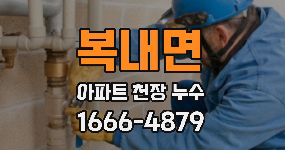 복내면 아파트 천장 누수