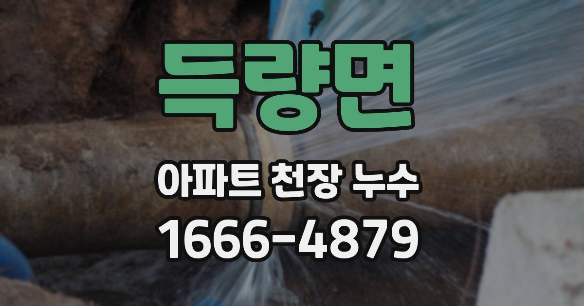 득량면 아파트 천장 누수