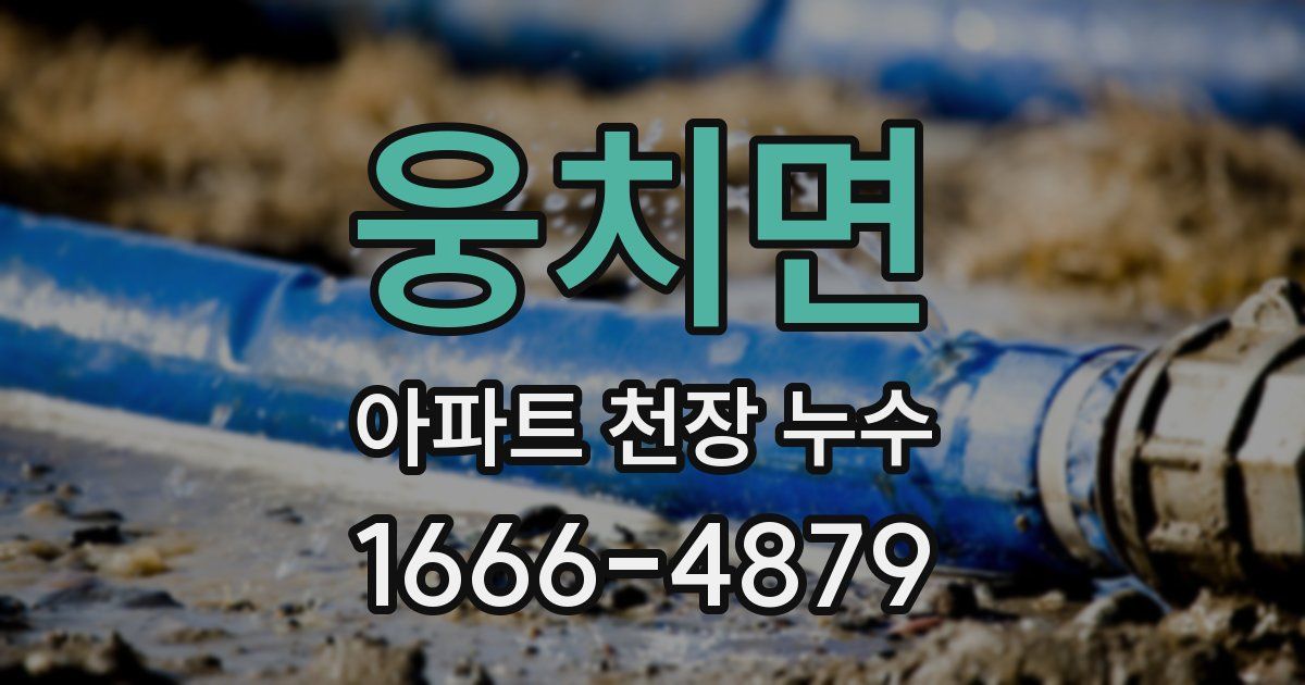 웅치면 아파트 천장 누수