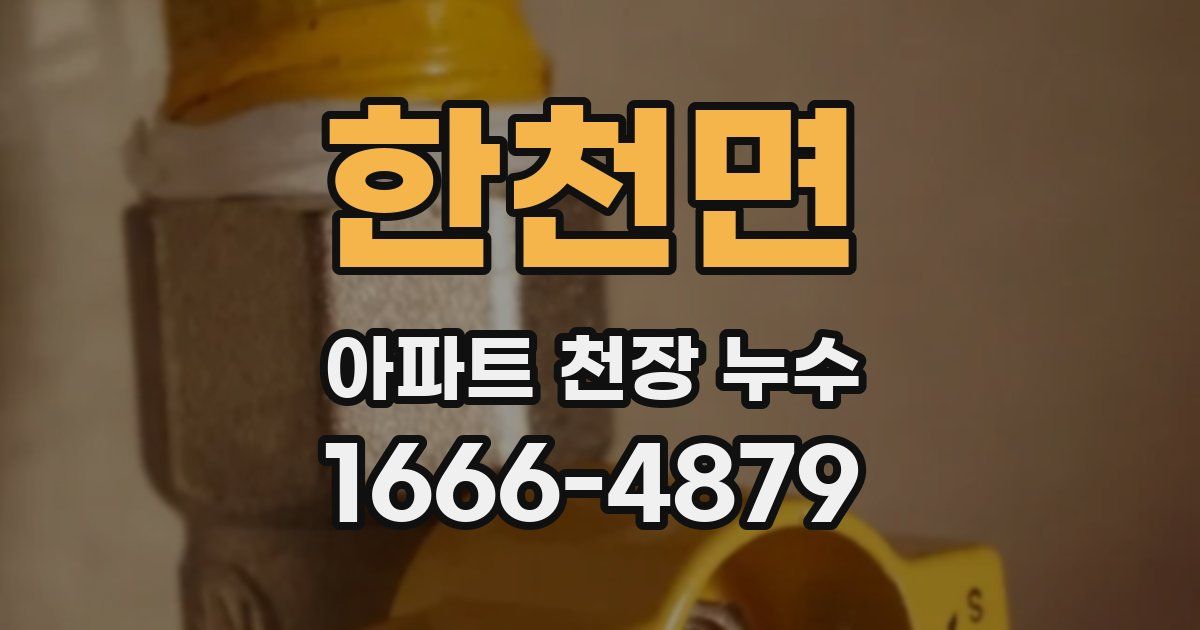 한천면 아파트 천장 누수