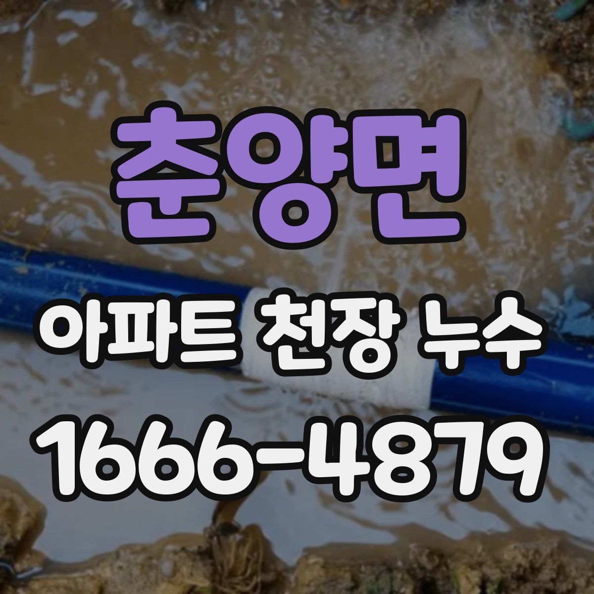 춘양면 아파트 천장 누수