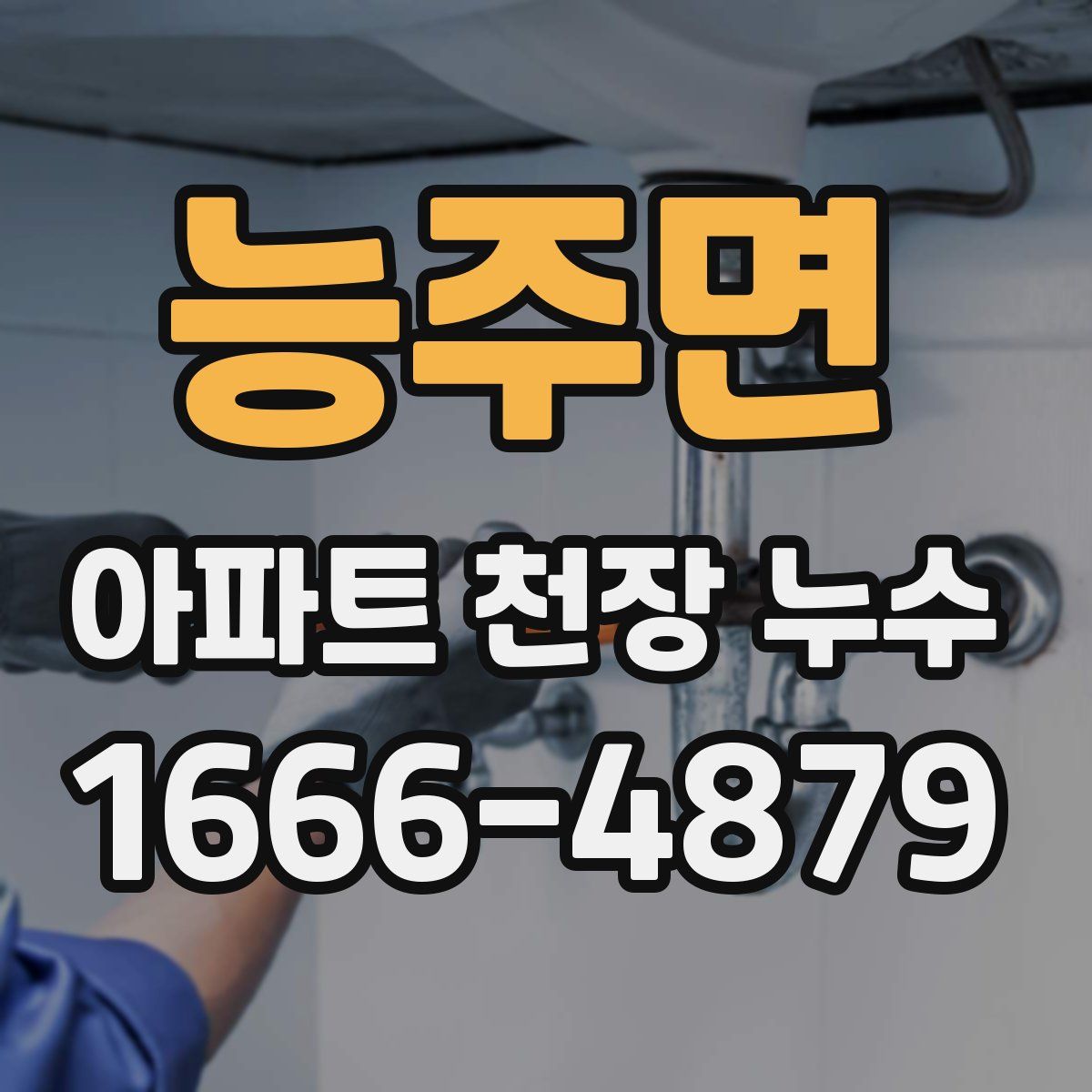 능주면 아파트 천장 누수