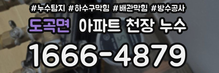 도곡면 아파트 천장 누수