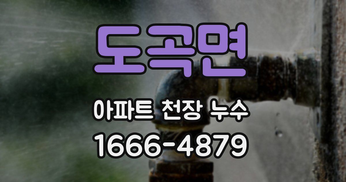 도곡면 아파트 천장 누수